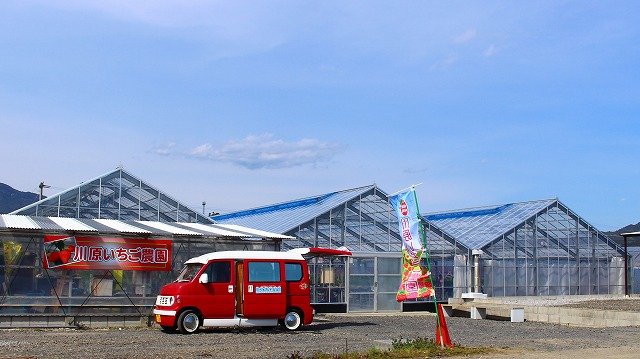 農園　宮崎県　延岡　おいしい　楽しい　川原いちご農園